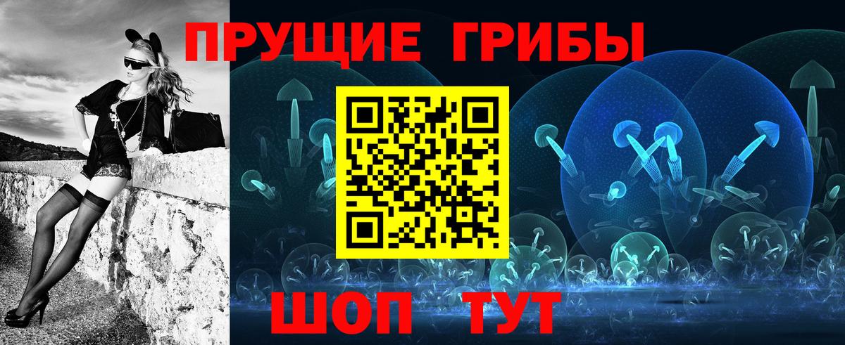 Галлюциногенные грибы ЛСД  Галлюциногенные грибы Psilocybe  Вход с VPN  Тимашёвск 