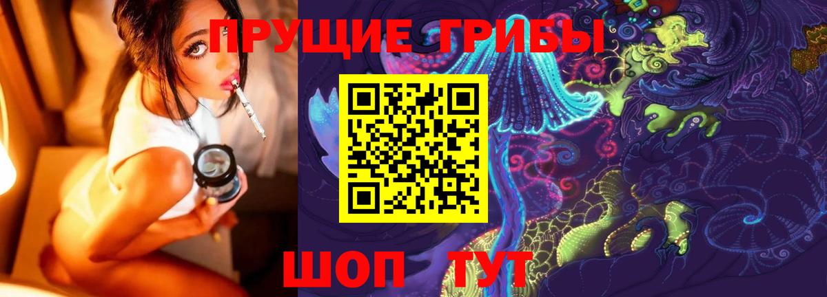 Псилоцибиновые грибы Psilocybe Тимашёвск